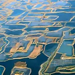 D'hotes - Les Boubous Panzió Saint-Nazaire